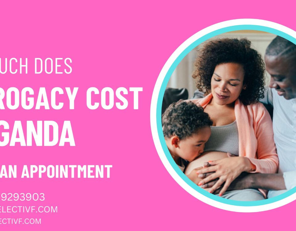 How Much Does Surrogacy Cost in Uganda 2023