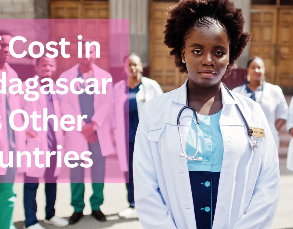 IVF Cost in Madagascar vs Other Countries 
