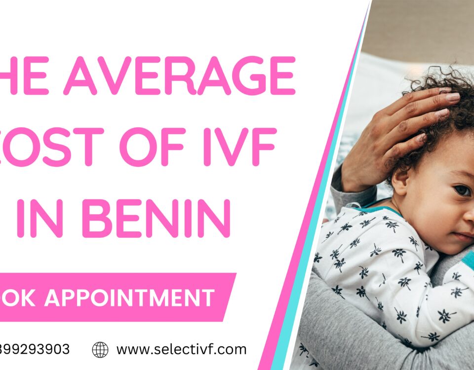 The Average Cost of IVF in Benin 2023