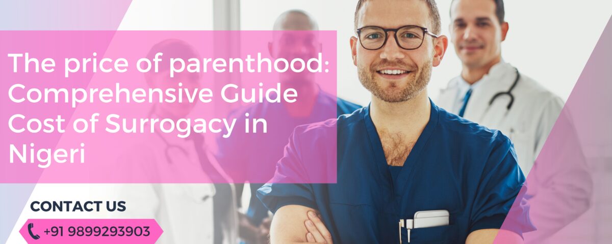 Cost of Surrogacy in Nigeria 2023