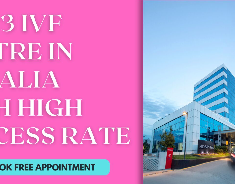Top 3 IVF Centre in Somalia With High Success Rate in 2023