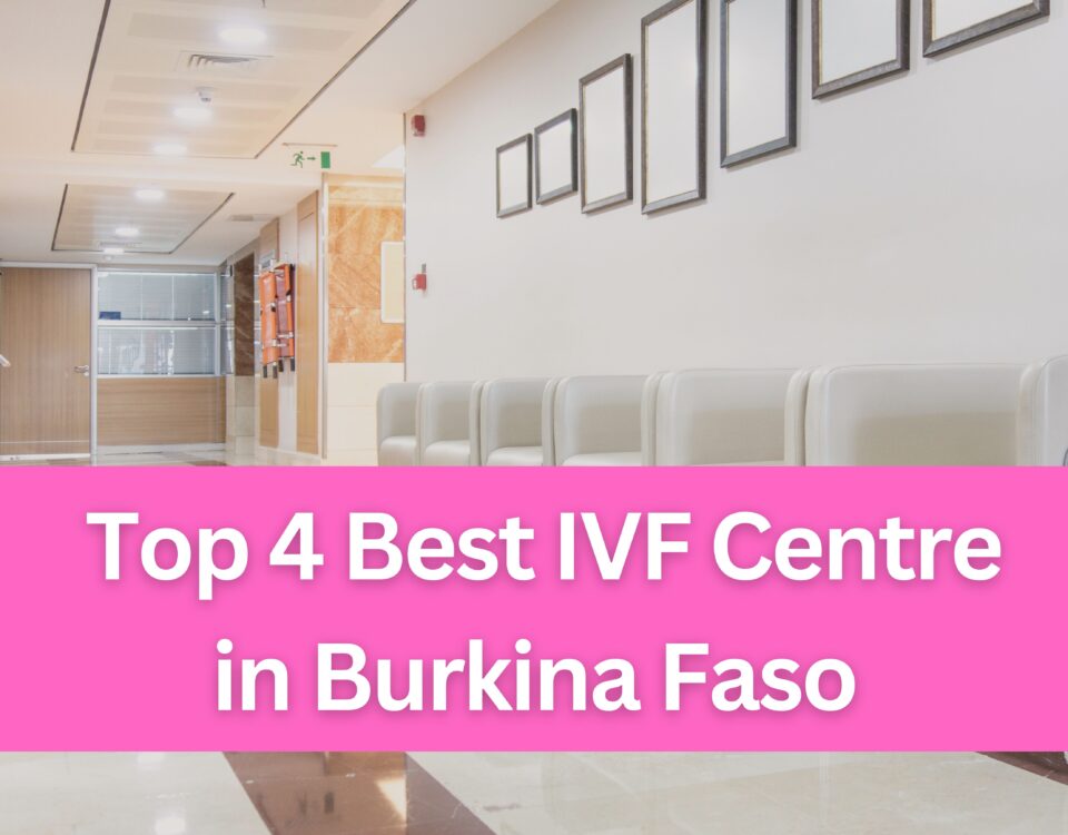 Top 4 Best IVF Centre in Burkina Faso 2023