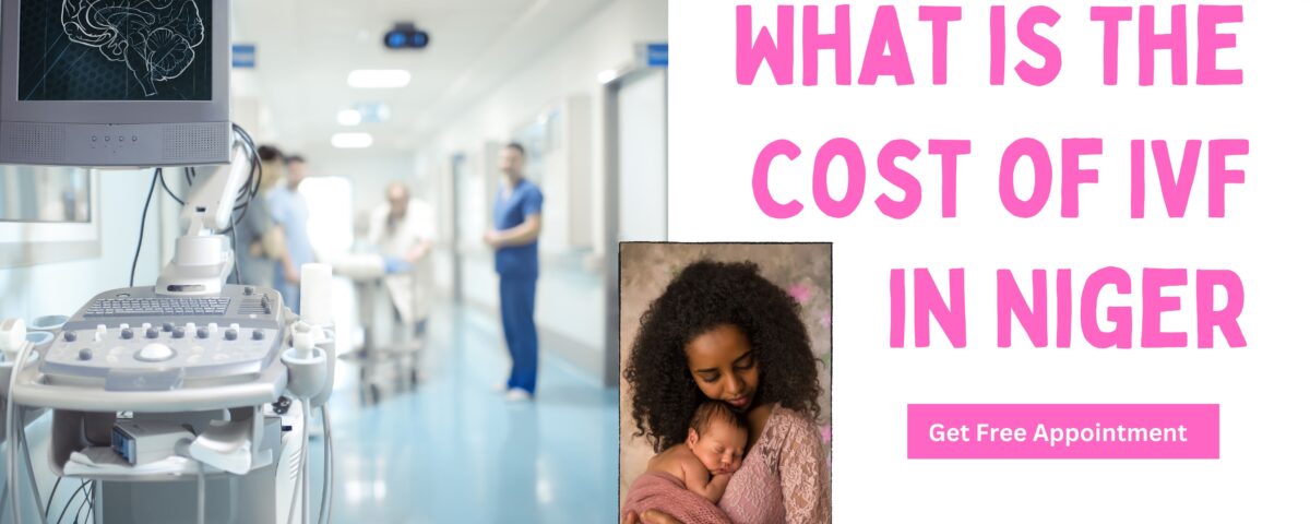 What is The Cost of IVF in Niger 2023