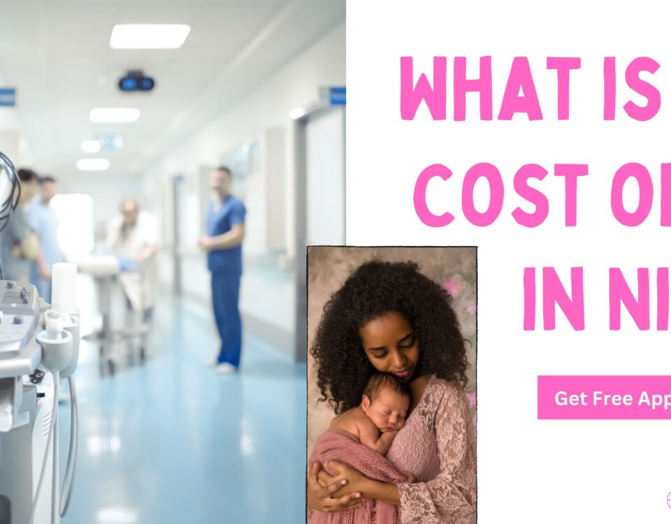 What is The Cost of IVF in Niger 2023