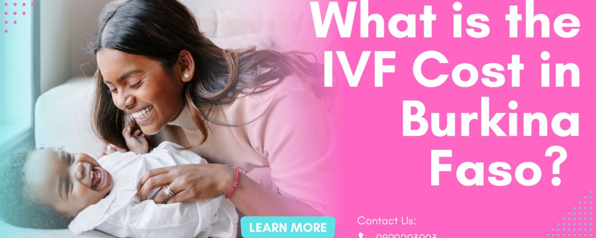 What is the IVF Cost in Burkina Faso 2023? 