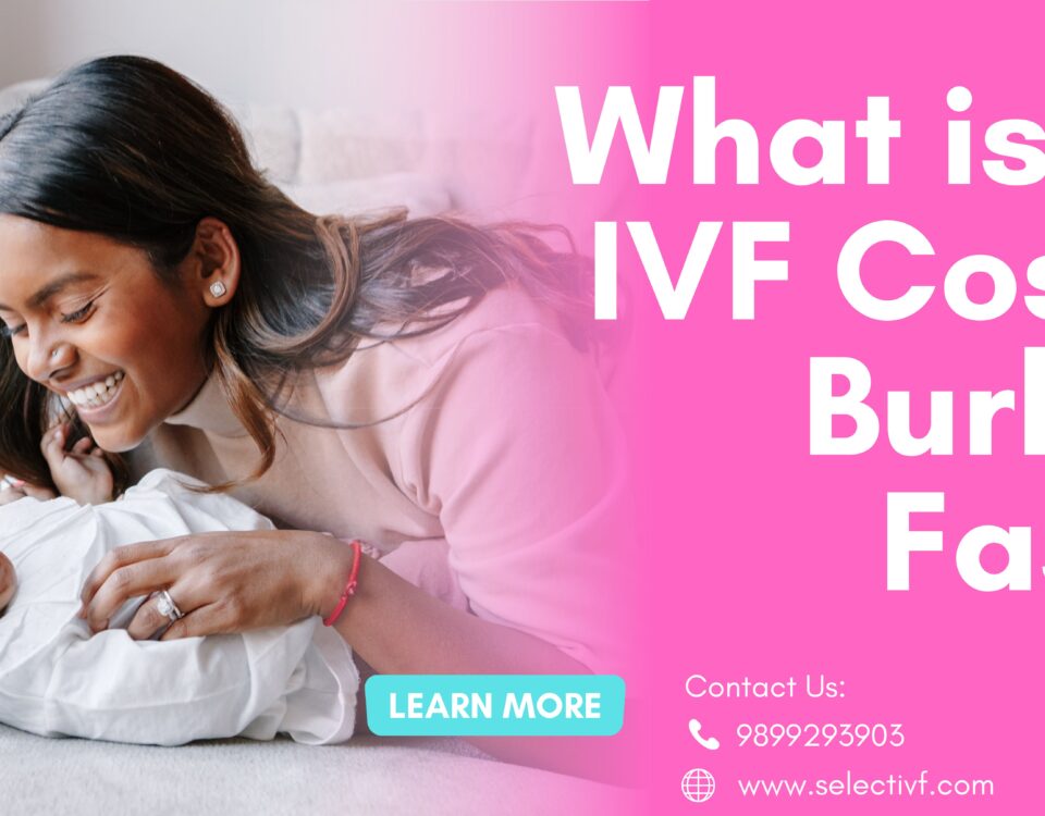 What is the IVF Cost in Burkina Faso 2023? 