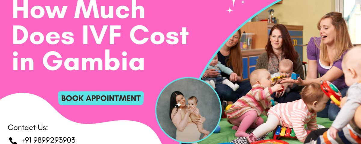 How Much Does IVF Cost in Gambia 2023