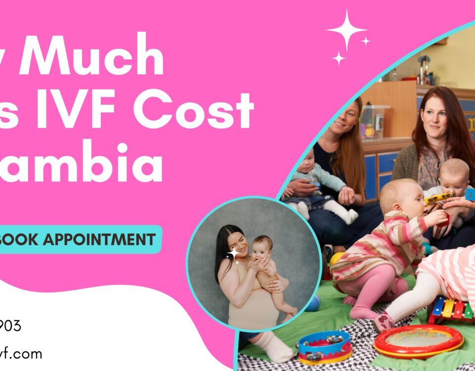 How Much Does IVF Cost in Gambia 2023