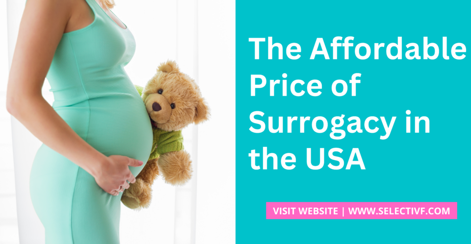 The Affordable Price of Surrogacy in the USA 2025