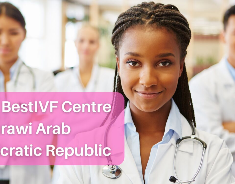 Top 3 Best IVF Centre in Sahrawi Arab Democratic Republic 2023
