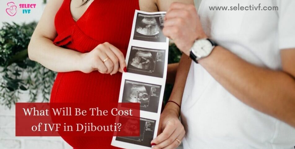 cost of IVF in Djibouti