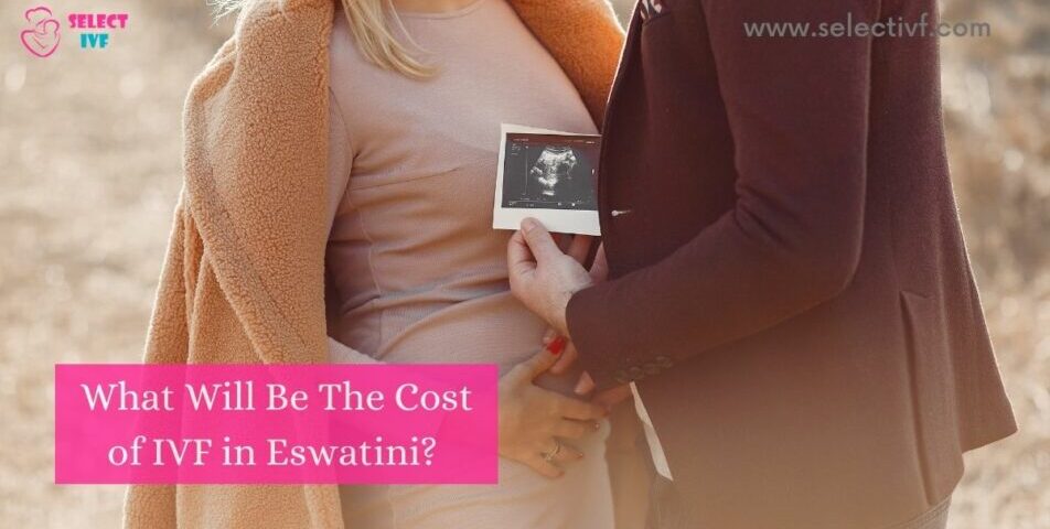 cost of IVF in Eswatini