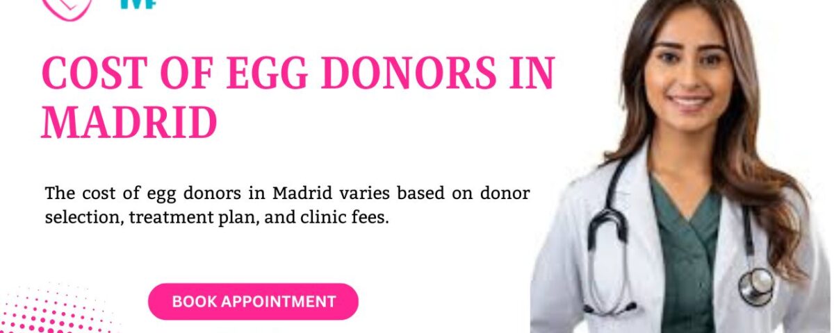 Cost of Egg Donors in Madrid
