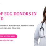 Cost of Egg Donors in Madrid