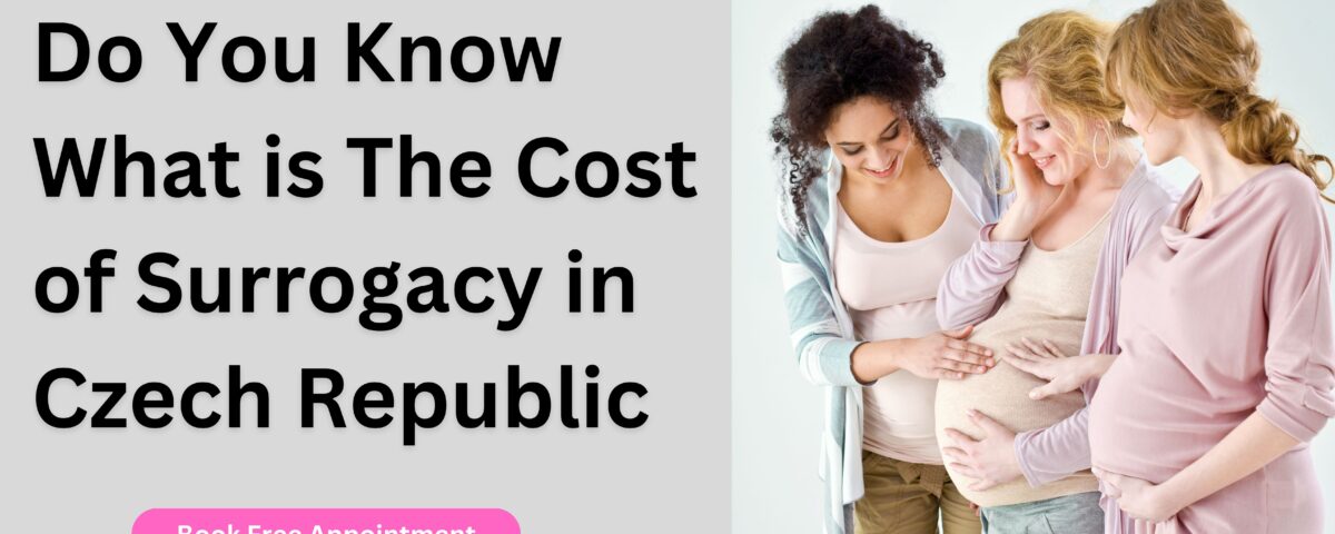 Do You Know What is The Cost of Surrogacy in Czech Republic 2023