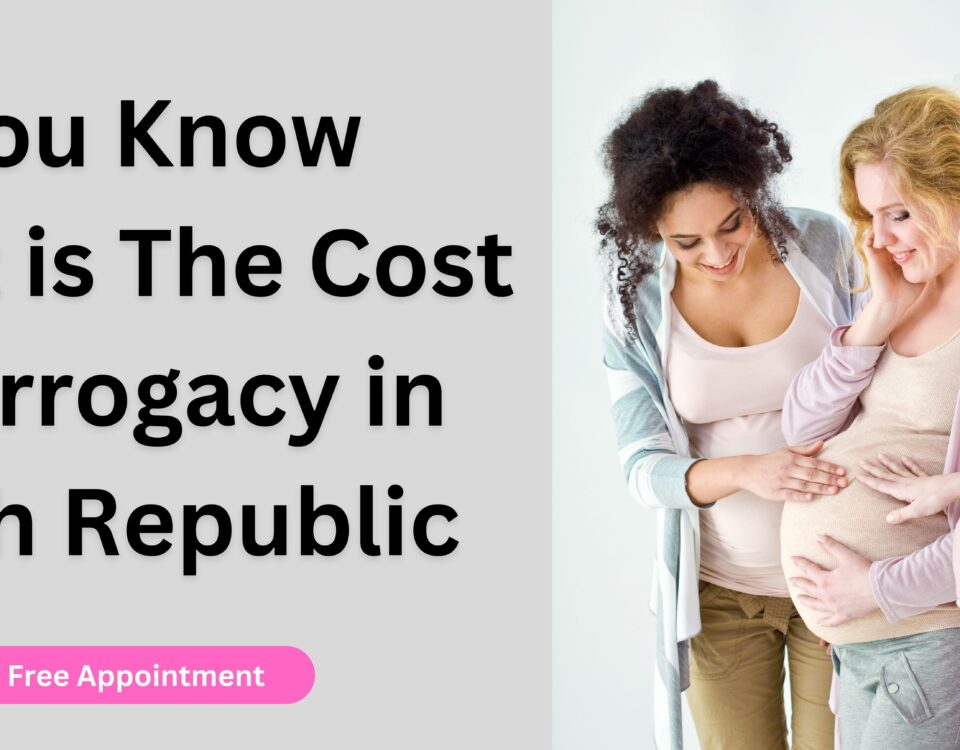 Do You Know What is The Cost of Surrogacy in Czech Republic 2023