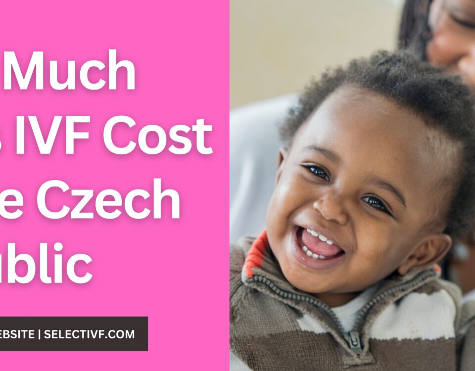 How Much Does IVF Cost in The Czech Republic 2023
