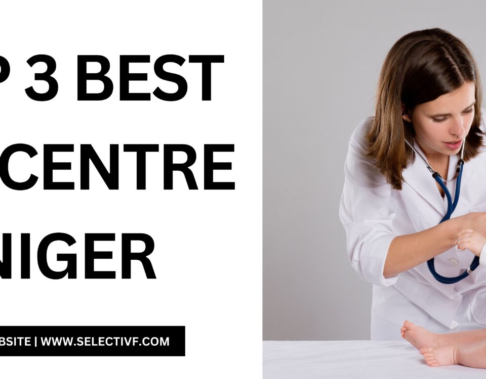 Best IVF Centre in Niger