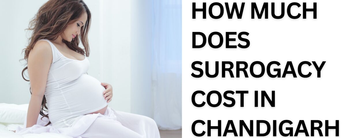 How Much Does Surrogacy Cost in Chandigarh 2023