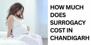 How Much Does Surrogacy Cost in Chandigarh 2023