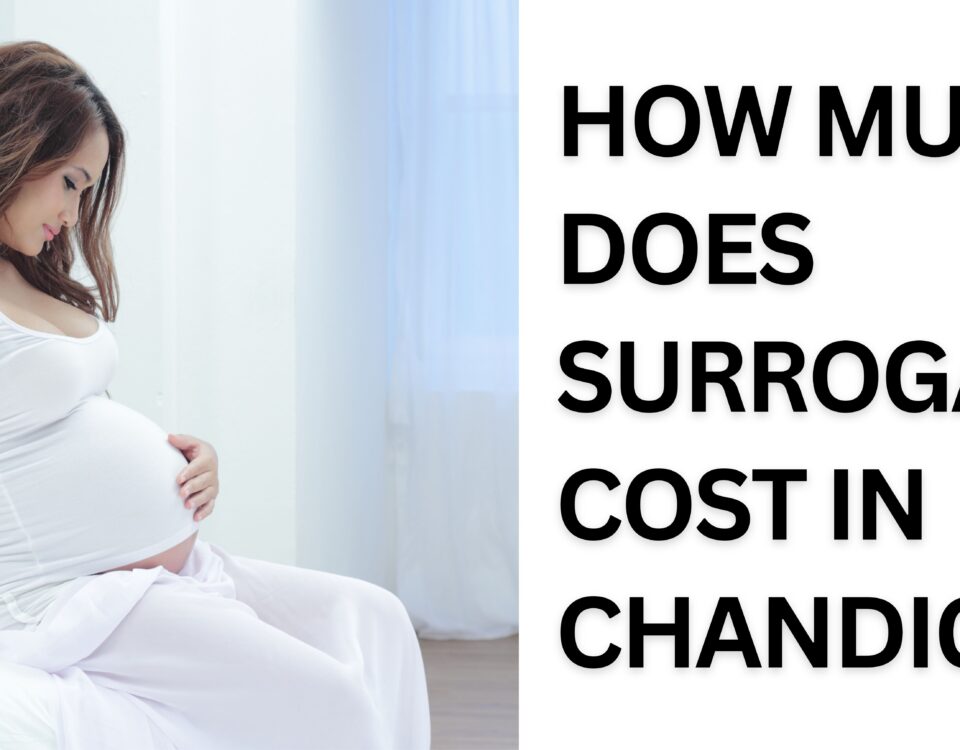 How Much Does Surrogacy Cost in Chandigarh 2023