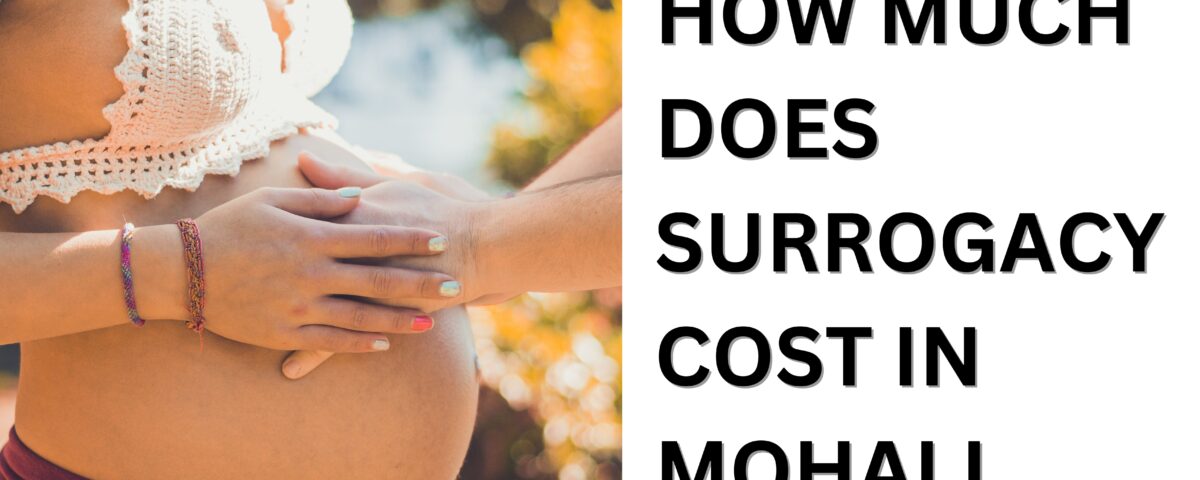 Surrogacy Cost in Mohali