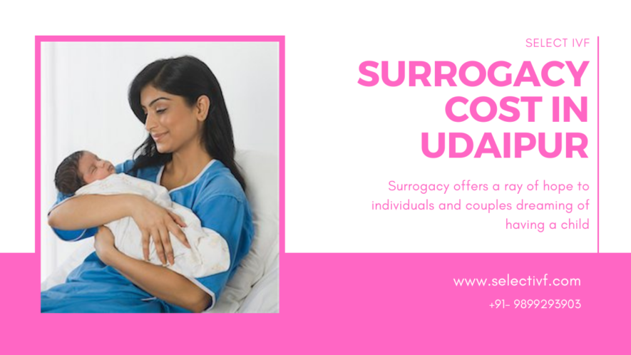 Surrogacy Cost in Udaipur