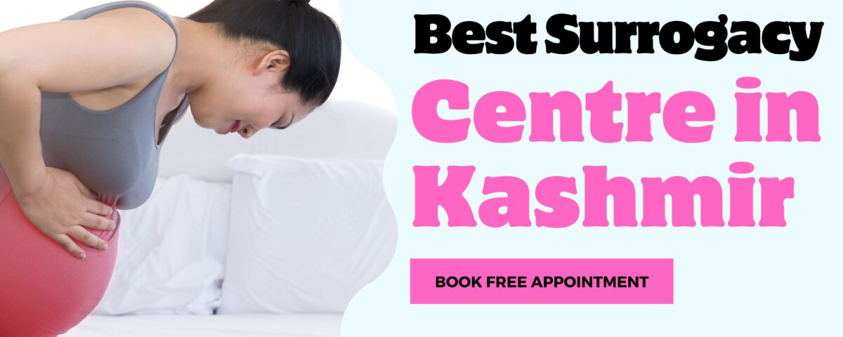 Best Surrogacy Centre in Kashmir