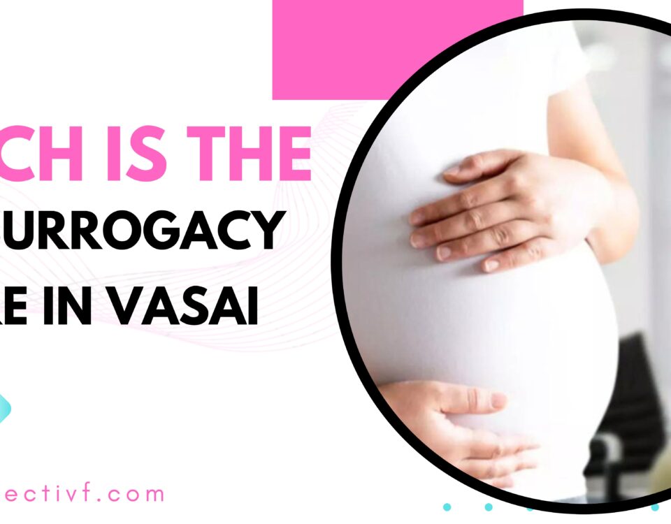 Best Surrogacy Centre in Vasai