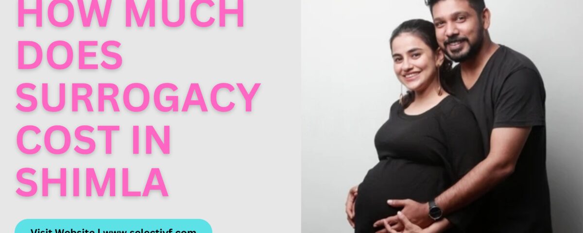 Surrogacy Cost in Shimla