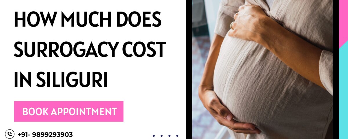 Surrogacy Cost in Siliguri