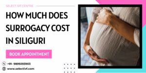 Surrogacy Cost in Siliguri