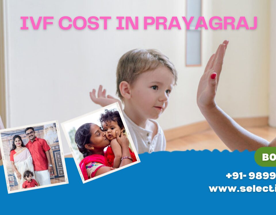 IVF Cost in Prayagraj 2023
