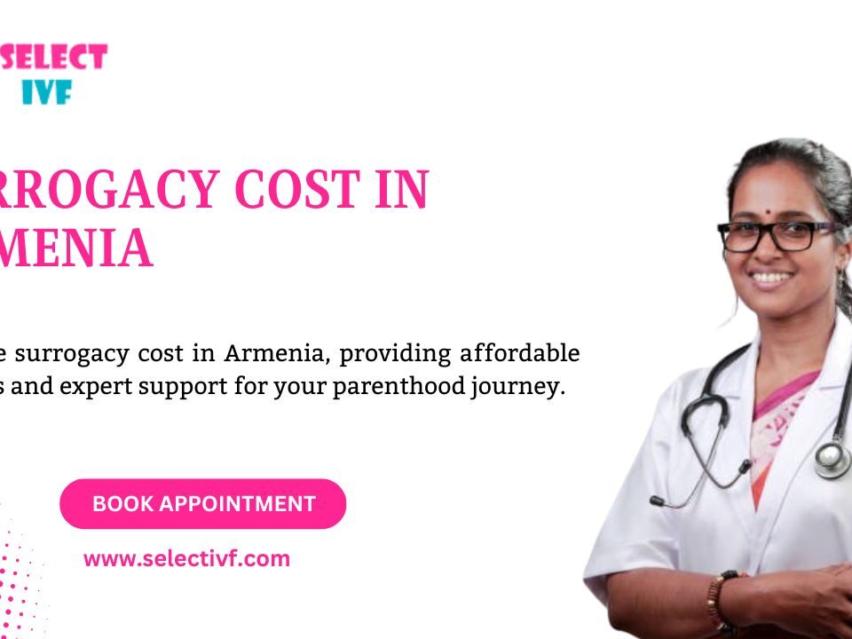 Surrogacy Cost in Armenia