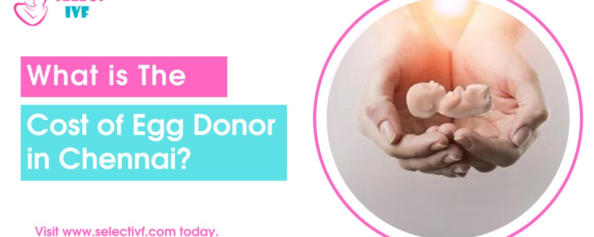 What is The Cost of Egg Donor in Chennai?