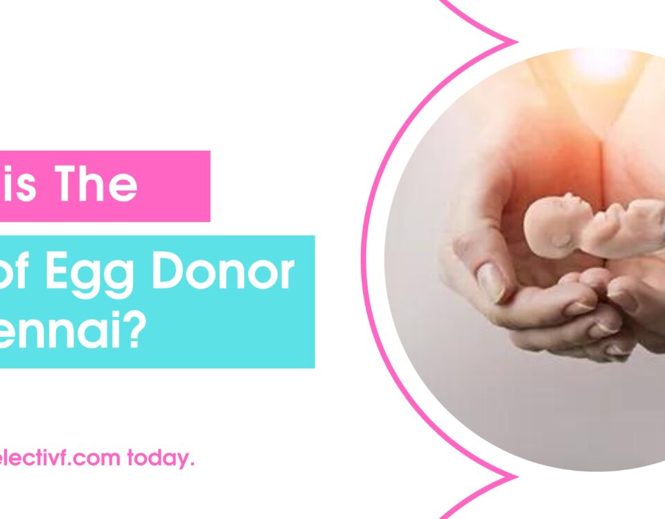 What is The Cost of Egg Donor in Chennai?