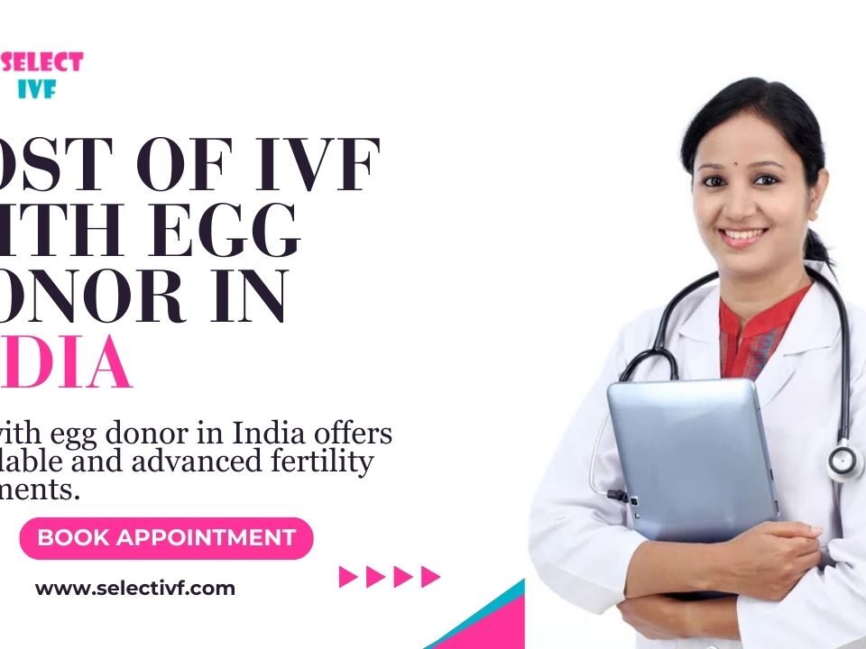 Cost of IVF with Egg Donor in India