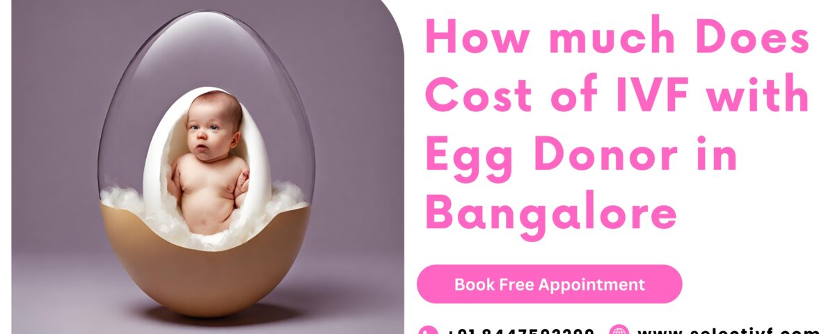 Cost of IVF with Egg Donor in Bangalore