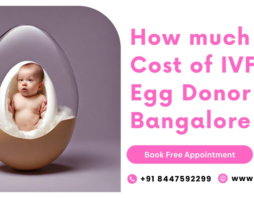 Cost of IVF with Egg Donor in Bangalore