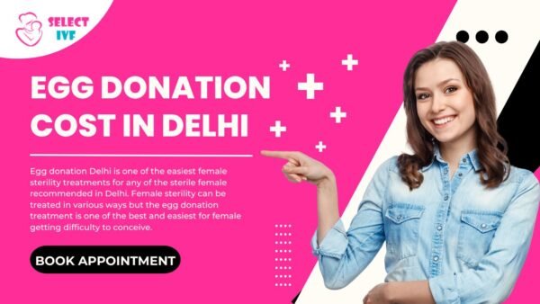 Egg Donation Cost In Delhi Egg Donation Cost In Delhi