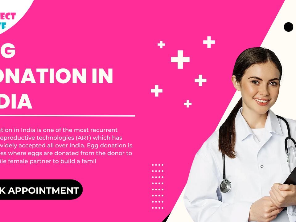Egg Donation in India