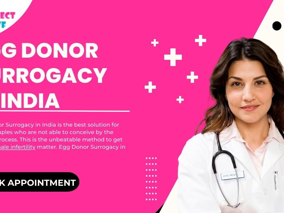 Egg Donor Surrogacy in India