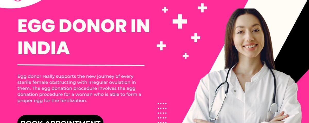 Egg donor in india