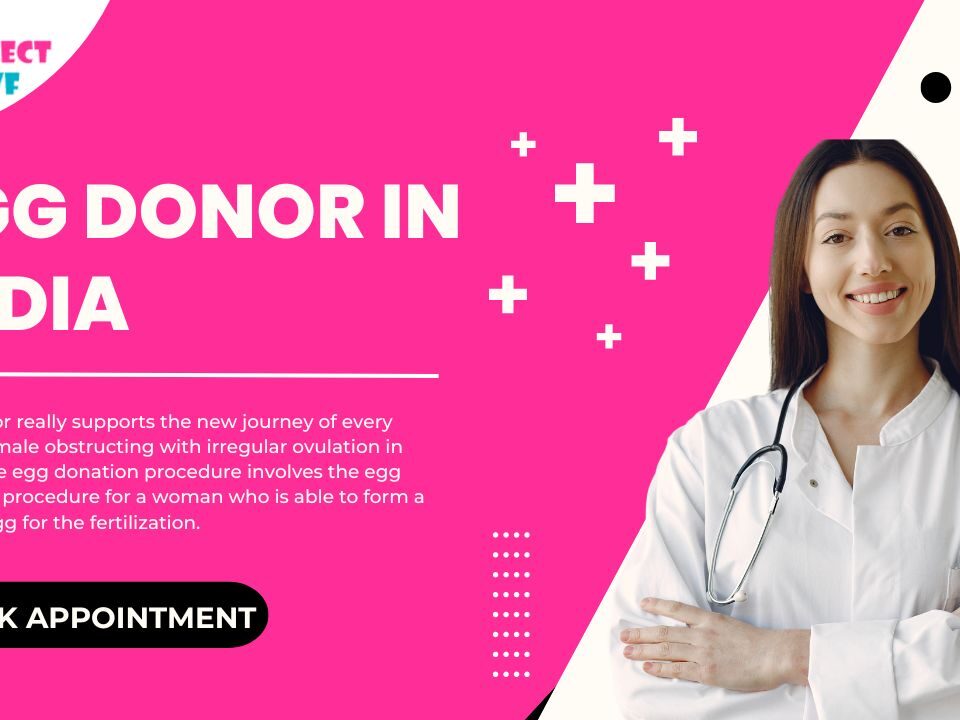 Egg donor in india