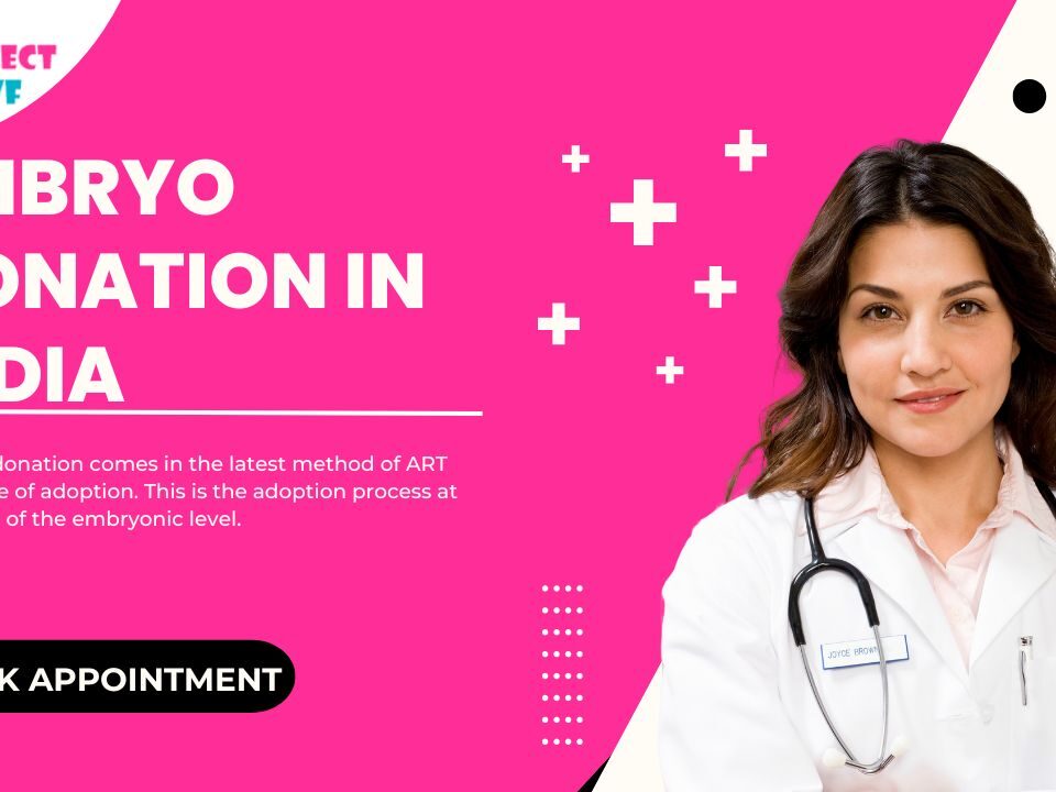 Embryo donation in India