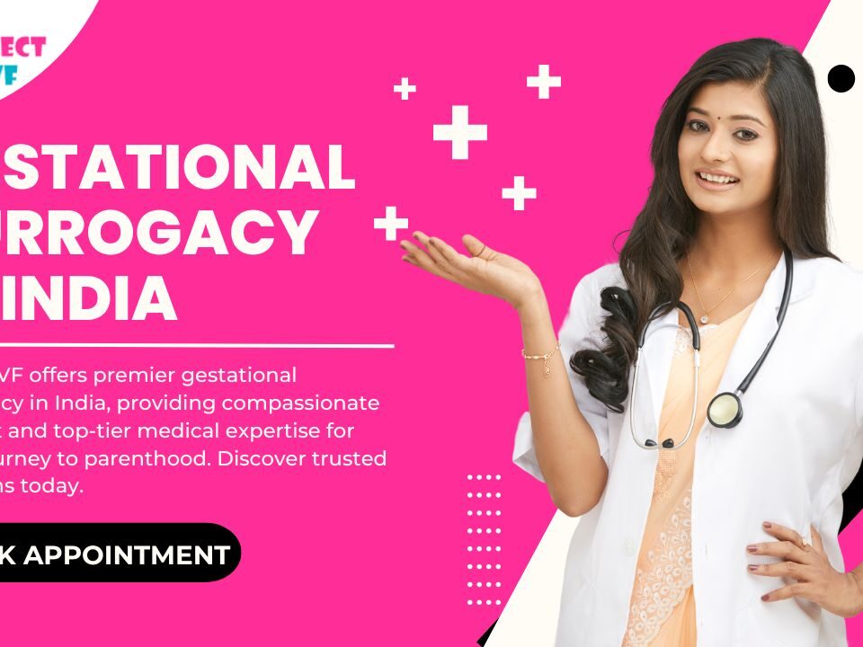 Gestational Surrogacy in India