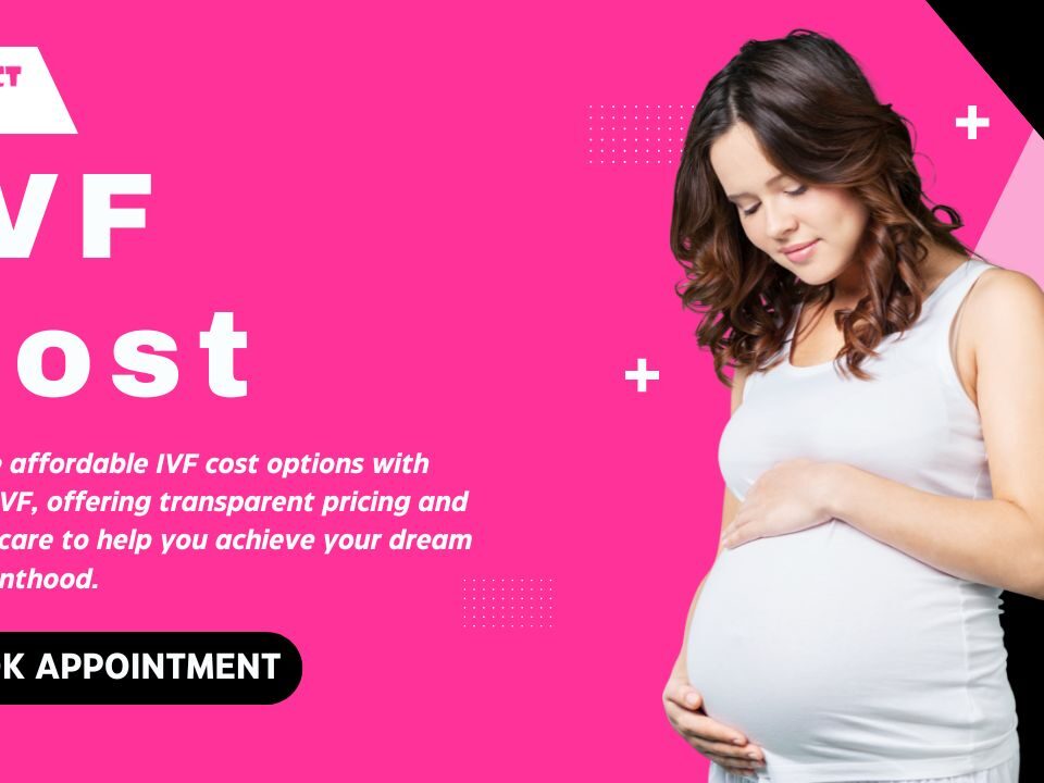 IVF Cost