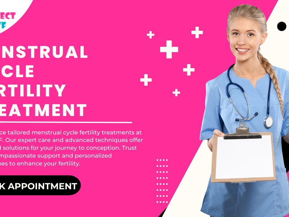 Menstrual Cycle Fertility Treatment