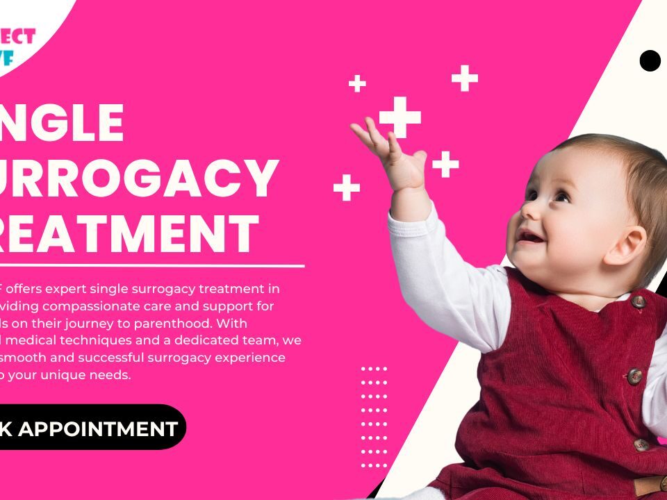Single Surrogacy Treatment