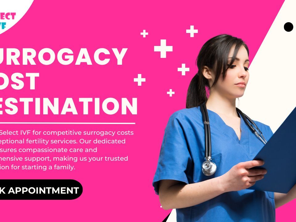 Surrogacy Cost Destination